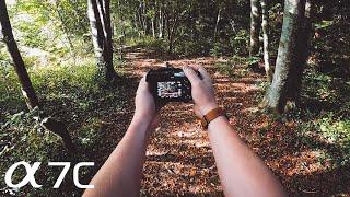 POV Photography wSony A7C & 50mm 1.8  WOODLAND