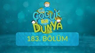 Bir Çocuk Bir Dünya - 183.Bölüm