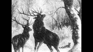 Hermóðr - Echoes In The Woods 2019