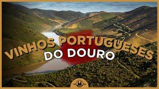 VINHOS PORTUGUESES CLÁSSICOS E ELEGANTES DO DOURO