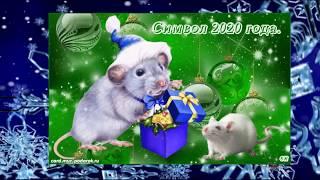 Символ 2020 года Крыса  The symbol of 2020 is a rat