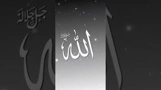 I Love Allah ️ #Allah #shorts #ytshorts #tiktok #quran #god