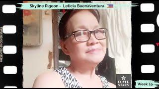 Skyline Pigeon Cover  Leticia Buenaventura