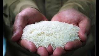 ارتفاع أسعار الأرز عالميا لأعلى مستوياتها في 15 عامًا