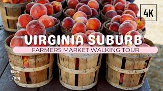 Virginia Suburbs Farmers Market Walking Tour Insta360 Go 3