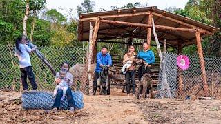 Dig a Road for Pets Build a Solid Fence Cook Dinner for a Visiting Sister  Family Farm