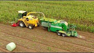 Maize Chopping Baling and Wrapping in one pass  New Holland FX60 & Agronic multibaler NIJ Holthoes