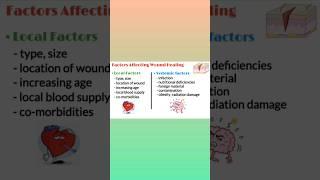 Wound healing factors affecting wound healing medical shorts pathology shorts youtube shorts