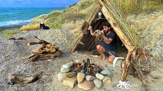 3 DAYS solo survival NO FOOD NO WATER Catch and Cook OCTOPUS - Rain Camping Bushcraft Shelter