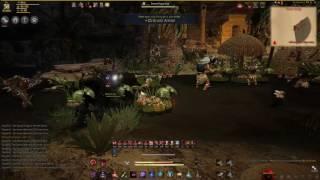 Black Desert Online -NA-  Desert Fogans Rotation Ninja