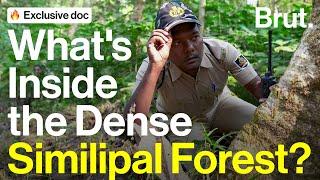 Brut Goes Patrolling With Forest Guards   Brut Documentary