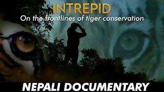 INTREPID On the Frontlines of Tiger Conservation  Documentary