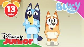  Neue Abenteuer mit Bluey  Bluey