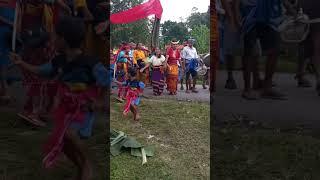 Loloka Kedde  Budaya Sumba #shorts