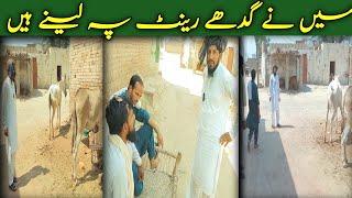Must Watch Totally Nonstop Amazing Funny Comedy Video  Donkey rent pay lay ky jana