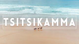 VLOG Tsitsikamma More Than Your Average Paradise