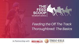 The Feed Scoop  The Basics of Feeding the Off The Track Thoroughbred