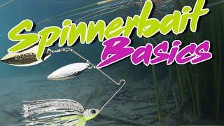 Bass Fishing Basics How To Fish A Spinnerbait