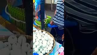 Balut egg From thailand stamina booster