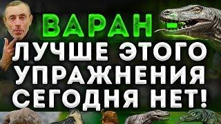 ВАРАН -ЛУЧШЕ ЭТОГО УПРАЖНЕНИЯ СЕГОДНЯ НЕТ ОМОЛОЖЕНИЕ НА 30 ЛЕТ Боли в пояснице. Островский