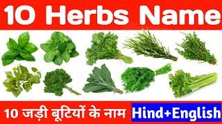 10 Herbs Name 10 जड़ी बूटी औषधियों के नाम Herbs name in Hindi and English with their pictures