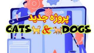 پروژه جدید تلگرامی ارز دیجیتال  پروژه cats&dags  ایردراپ ارز دیجیتال جدید تلگرامی کتس و داگ 