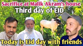 Qurbani At Malik Akram House  Third day of EID  Today  EID day with friends  khadimabad dadyal