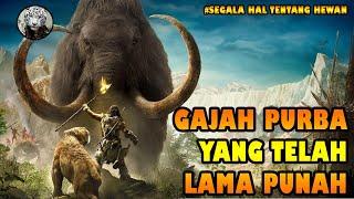 INILAH NENEK MOYANG GAJAH - MAMMOTH #gostopedia