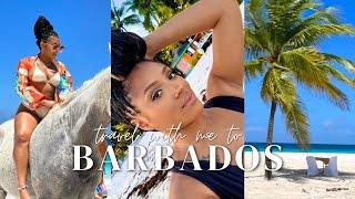 TRAVEL VLOG Barbados Trip with Babe & Fam + Swimming w Horses + New York Turn & Burn