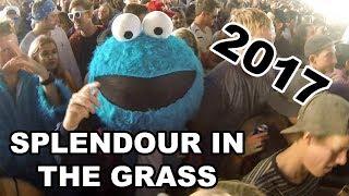 Splendour in the grass 2017