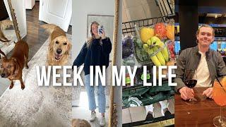 week in my life getting back into routine at home grocery haul dog sitting + a sad day 