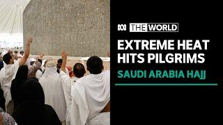 More than a dozen pilgrims performing hajj in Saudi Arabia die some deaths heat-related  The World