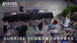 Sunrise Yoga in Pandora  Disneys Animal Kingdom