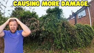 Ivy Has Grown DOUBLE The Fence Height Lets Reclaim Jennys Garden.. EP2