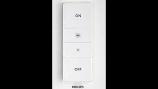 Philips Hue Switch Repair