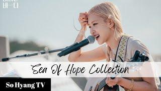 Playlist Rosé 로제 - Sea Of Hope Collection 바라던 바다 모음