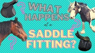 What happens in your horses saddle fitting appointment?