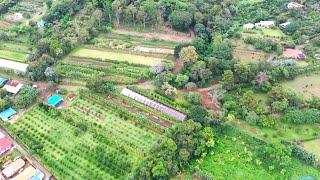 BACK IN COSTA RICA Touring The Ark Herb Farm a 20 Acre Botanical Garden Part 1