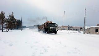 Вывозка леса в хлыстах. МАЗы-509А еще в строю. Валка леса ЛП-19 трелевка леса ЛП-18Г.