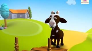 Two Silly Goats  A 3D English Story for Children  Periwinkle  Story 8