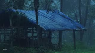 Rain on Shelter with Tarp & Distant Thunder  Help Study Meditation PTSD Insomnia & Tinnitus