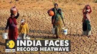 Northern parts of India face cases of Vector-borne disease due to record heatwave  WION