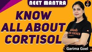 Cortisol  NEET Mantra by Garima Goel  NEET 2020  NEET Biology 2020  NEET 2020 Preparation Tips