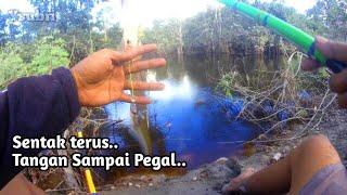 Mancing tepat di lubuk Ikan Lais