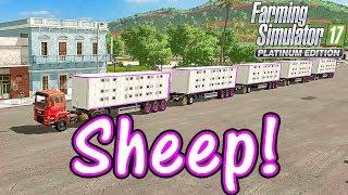 Lets Play FS17 Estancia Lapacho #81 Lots Of Sheep