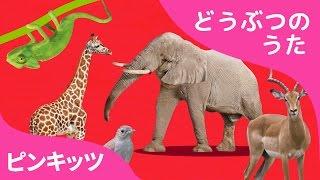 ABCどうぶつきしゃ  ABC Animal Train  どうぶつのうた  ピンキッツ童謡