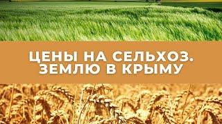ФЕРМА в КРЫМУ Цены на сельхоз. земли в Крыму  Интервью с экспертом