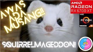 MUSANG APA INI?? MEREKA BERMUTASI Squirrelmageddon Gameplay Indonesia No Commentary