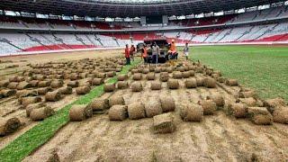 UPDATE‼️RUMPUT GBK DIBONGKARPERSIAPAN UNTUK TIMNAS INDONESIA DIKUALIFIKASI PIALA DUNIA 2026 RONDE 3