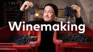 MASTER of WINE makes PINOT NOIR How to make Red Wine Part 1.